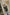 WW | Damen Lederjacke Mit Coolem Aufdruck