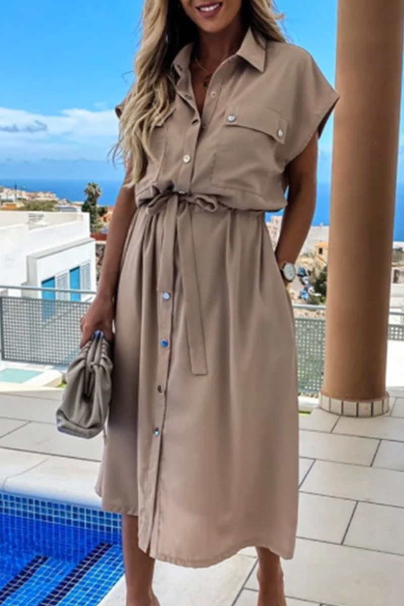 WW | Elegant Solid Frenulum Spange Polo Kragen A-Linien Kleider