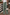 WW | Bequeme Solide Schnalle Gerade Hohe Taille Breite Hosen Einfarbige Farbe Bund