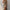WW | V-Ausschnitt Midikleid Mit Druck Und Schlitz