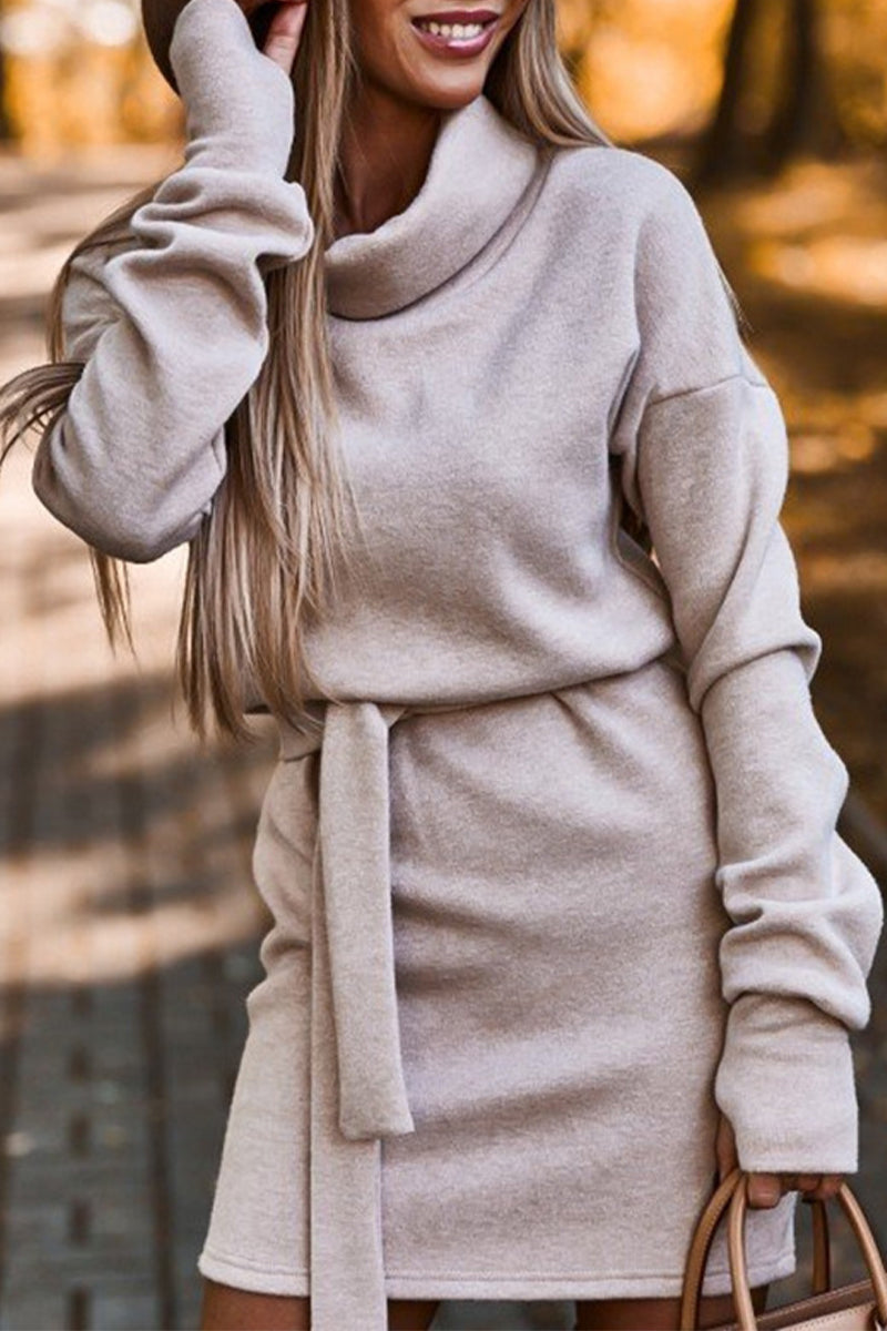 WW | Casual Solid Frenulum Turtleneck One Step Rock Kleider- 4 Farben