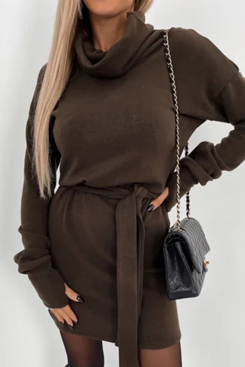WW | Casual Solid Frenulum Turtleneck One Step Rock Kleider- 4 Farben