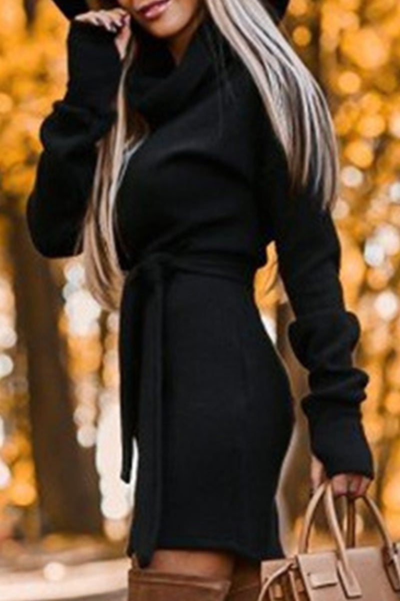 WW | Casual Solid Frenulum Turtleneck One Step Rock Kleider- 4 Farben