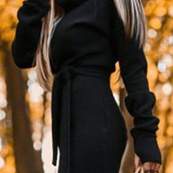 WW | Casual Solid Frenulum Turtleneck One Step Rock Kleider- 4 Farben