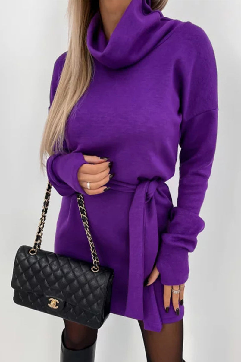 WW | Casual Solid Frenulum Turtleneck One Step Rock Kleider- 4 Farben