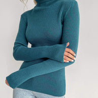 WW | Sophistizierter Winter Rollkragen Pullover
