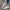 WW | Canvas-Schuhe mit Print