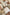 WW | Sexy Celebrities Solide Patchwork Kontrast Umgeschlagen Kragen Kurzarm Zwei Teile