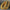 WW | 14kt Gold Einzigartige Gold Filigrane Chunky Creolen