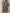 WW | Leopardmuster Lässiges Top Und Shorts Satz