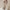 WW | Chic Damen Bronzing Langärmelig Slim Fit Kleid