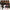 WW | Hochtaillierte Ripped Stoff Raffung Hose