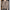 WW | Damen-Strickjacke Mit O-Ausschnitt Aus 100 % Reiner Merinowolle, Kaschmirpullover