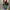 Damen Strickpullover mit stylish Streifenmuster und elegantem Stehkragen WW