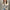 Damen Strickpullover mit stylish Streifenmuster und elegantem Stehkragen WW