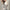 Damen Strickpullover mit stylish Streifenmuster und elegantem Stehkragen WW