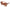 WW | Exquisite Damen Sonnenbrille Mit Blumenmuster