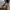 WW | Stilvolle Leder Ankle Boots mit Blockabsatz für Damen Damen Ankle Boots