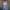 WW | Damen Denim-Overalls mit weitem Bein Design