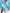WW | Bikini Jacke Shirt Badeanzug Strickjacke Damenbekleidung Druck Urlaub Strandshirt