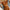 WW Bikini |  Bequemer Bikini mit High-Waist-Slip