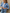 WW | Kurze Casual-Jeansjacke