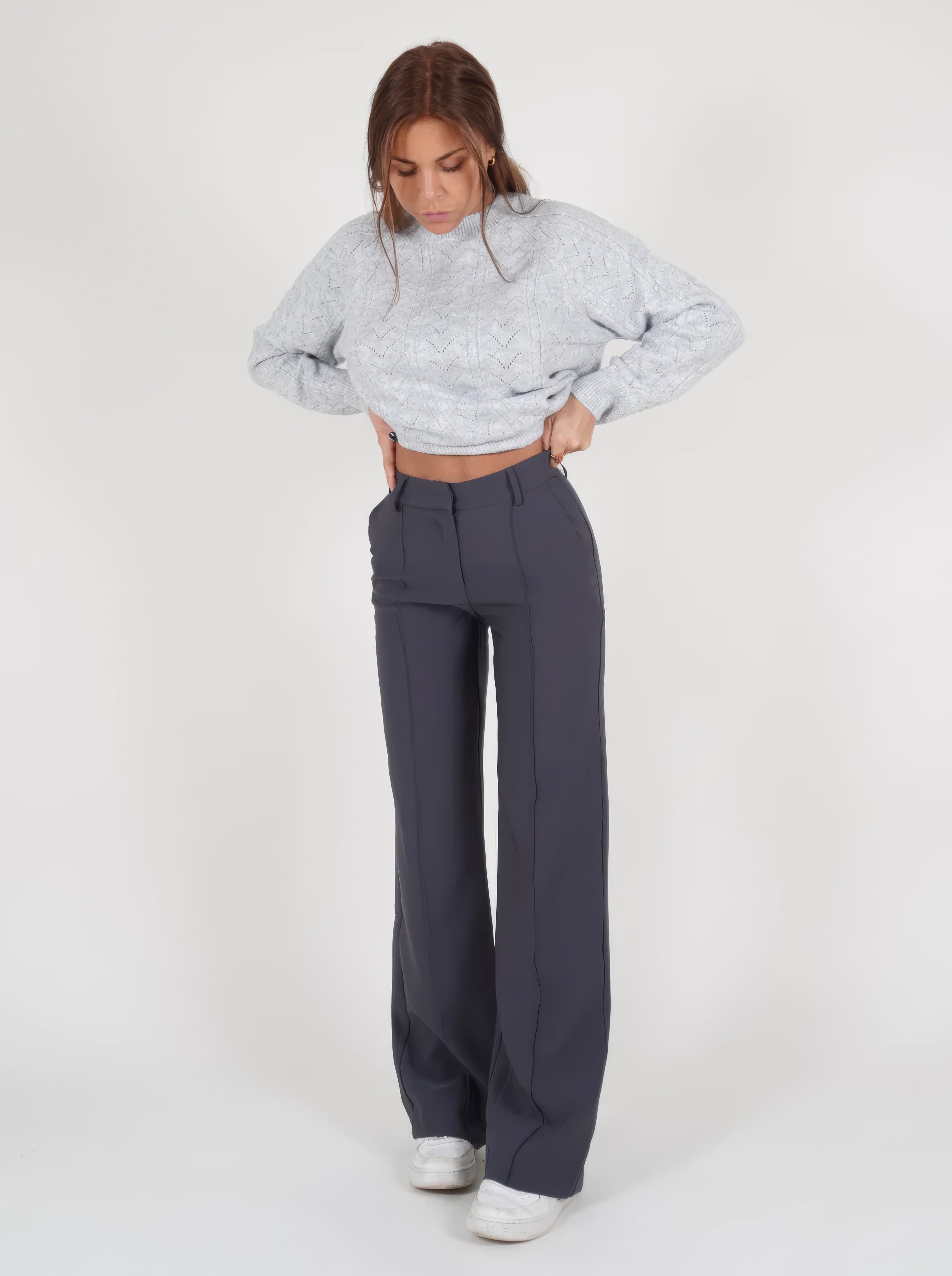 WW | Zeitlose Klassische High Waist Hose