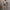 WW | Trendiges Design - High-Waist-Paillettenanzug