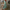 WW | Maxi Kleid Mit Blumenmuster
