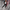 WW | 2-Teiliges Set Bestehend aus Einem Lässigen Blazer und Einer Hose