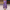 WW | Elegantes Mode Baumwollkleid