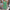 WW | Modische Damenkleid mit Print