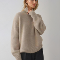 WW | Pullover mit Rollkragen