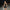 WW - Celestial Sparkle Minikleid Partykleid mit Mond- und Sternenverzierung