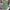 WW | Modische Damenkleid mit Print