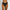 WW | Unsichtbares Kamelzeh String Set Von 4