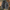 WW | Edle Herrenjacke