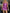 WW | Elegantes Mini-Kleid mit Pailletten