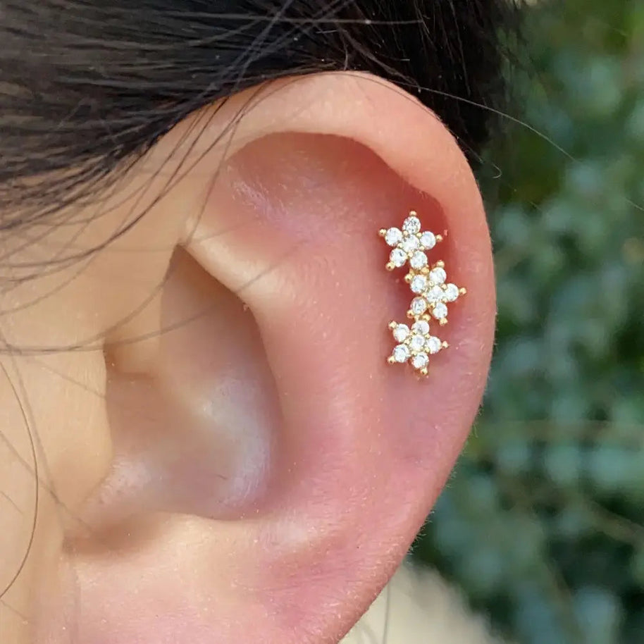 WW | Tragus Helix 925 Silber Ohrringe Für Damen
