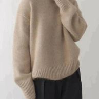 WW | Pullover mit Rollkragen