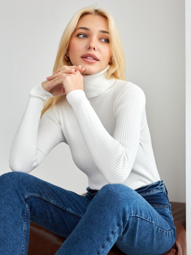 WW | Sophistizierter Winter Rollkragen Pullover