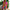 WW | Zeitloses Design Im Vintage-Stil