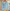 WW | Gestrickte Kurze Strickjacke