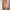 WW | Das Ultimative Party Kleid