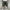 WW | Cargo Shorts Für Herren Stylisch & Nachhaltig