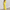 WW – Set aus Blazer und Hose