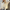 WW – Gebreid vest met knoopsluiting
