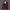 WW | Stilvolles Leder Herrenjacke