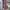 WW | Midi Kleid Ärmellos V-ausschnitt Twist Front & Cut Out Detail Plissierter Rock