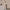 WW | teil sportlicher cropped Sweatshirt mit Jogginghose - Damen Pullover Tracksuit mit Reißverschluss und elastischem Bund
